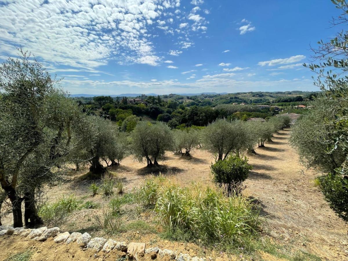 Oliveta Del Con Grande Giardino 500mt Dal Centro Holiday home *